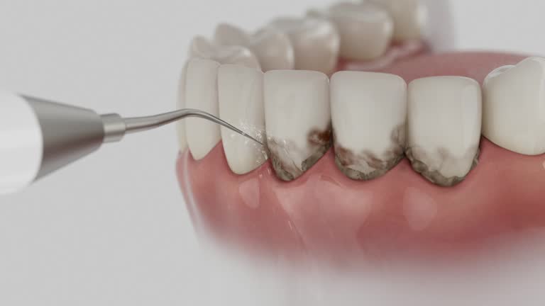 Reliable Dental contractor in Oakland, MD by Dentist Open Now